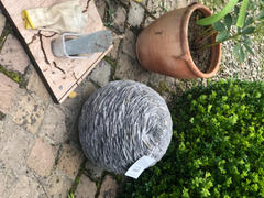 Mid Ulster Garden Centre  Review